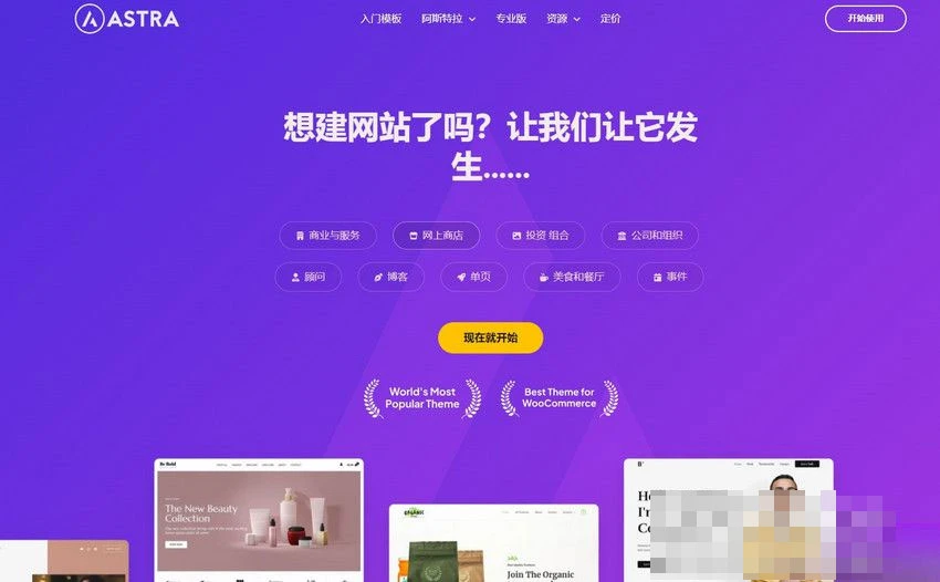 Astra独立站全套WordPress主题主题整理汉化版 带pro版插件-深栈博客