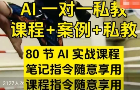 AI指令实战课，课程+案例，80节AI实战课程-深栈博客